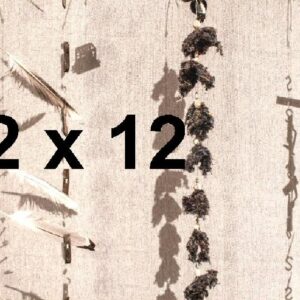 Exhibition: 12 x 12