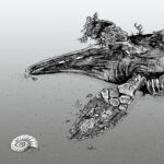 Rotting Ichthyosaur