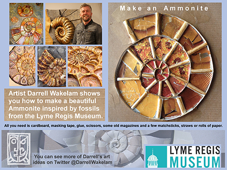 Make an Ammonite 1