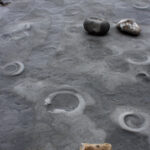 Ammonite ledge Monmouth Beach