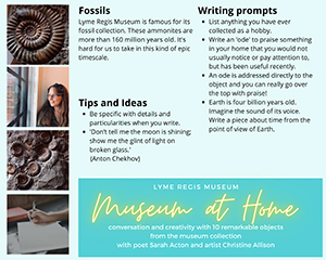 Fossils Writing Activity