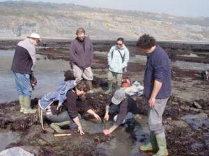 Recovering the ichthyosaur