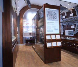 Fossil Gallery