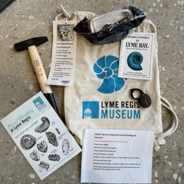 Lyme Regis Museum Fossil Hunting Kit Lyme Regis Museum