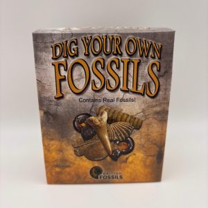 Dig your own Fossils Kit