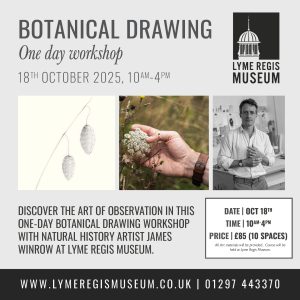 Botanical Drawing