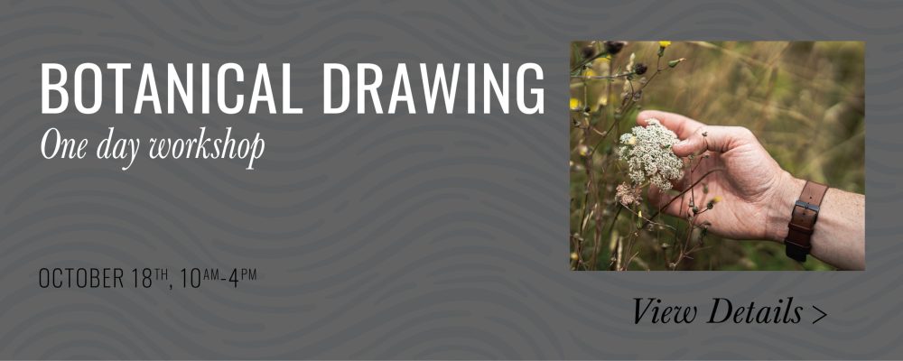 Botanical Drawing slider