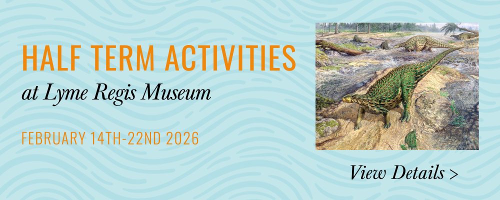 Half Term Activities