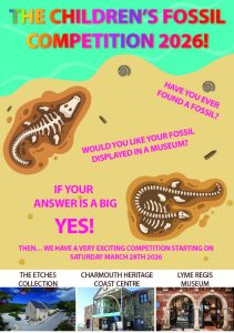 Fossil comp flyer