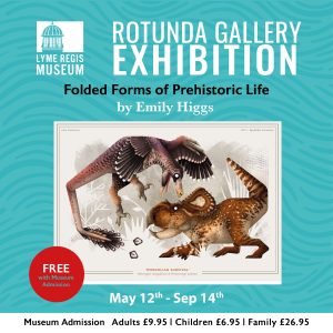 Emily Higgs exhibition