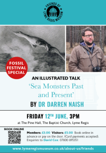 Naish Talk