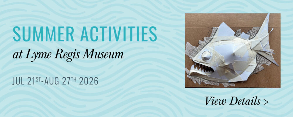 Summer activities_Slider Summer activities