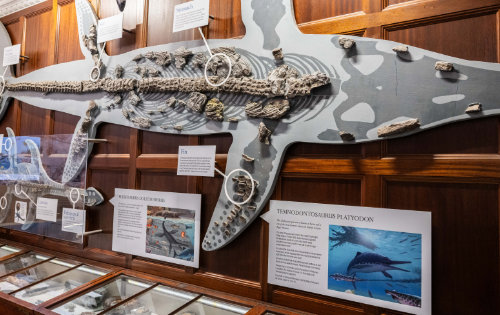 Our Exhibitions & Galleries