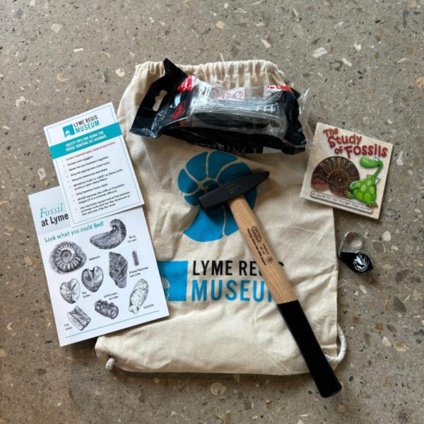 Lyme Regis Museum Fossil Hunting Kit