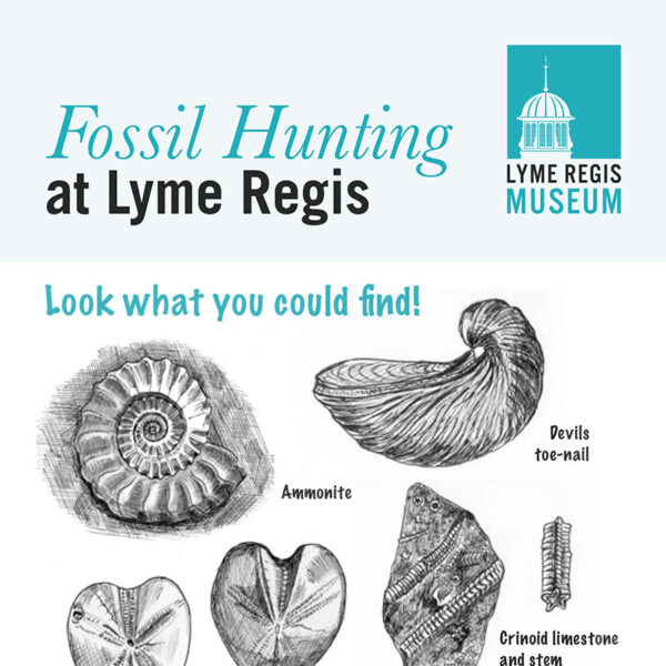 Fossil Hunting PDF Booklet