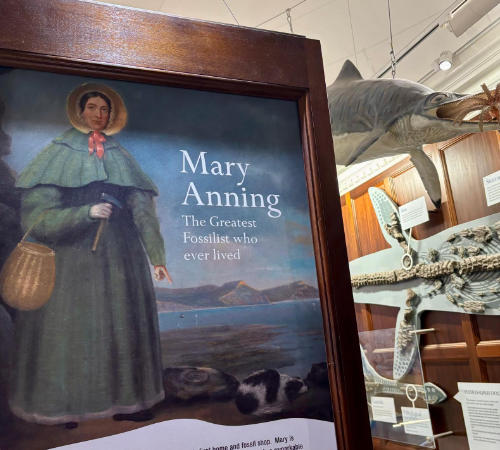 Mary Anning Gallery