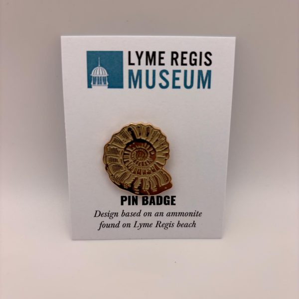 Gold Ammonite Pin Badge