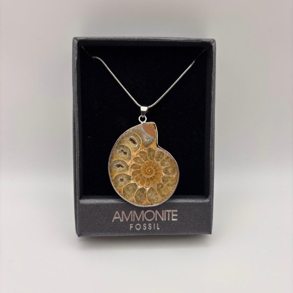 Ammonite Necklace