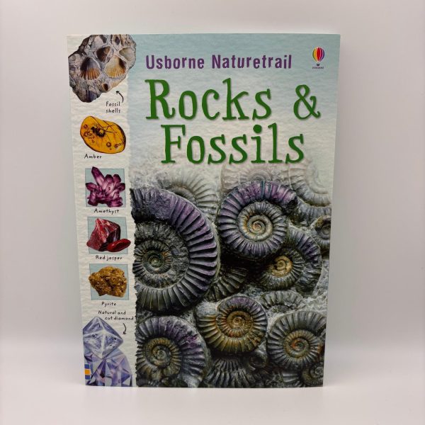 Rocks & Fossils Book